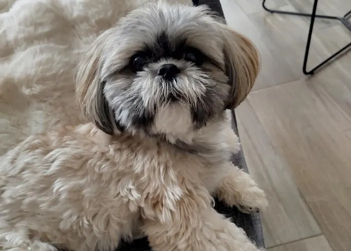 לינה וארוחת בוקר D'hotes Simplement Beaurepaire (Vendee)